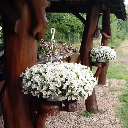 بيت ضيافة Dolina Witowki 3*